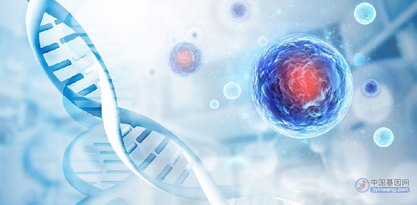 CRISPR基因编辑技术在干细胞治疗中的应用