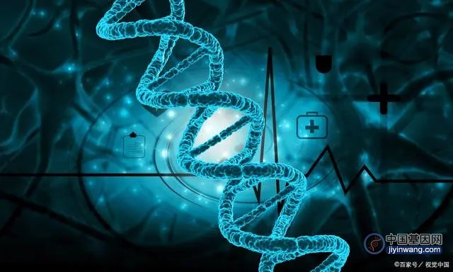 “大基因组、小复杂性？探索基因组大小与生物复杂性之谜”