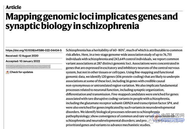 Nature：基因组定位涉及精神分裂症的基因和突触生物学