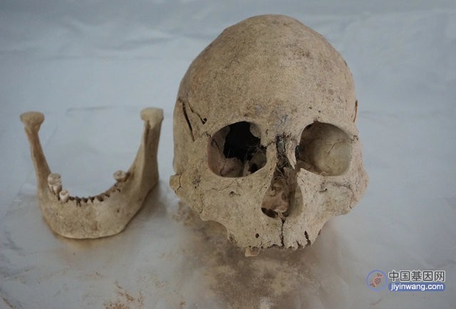 古基因组研究揭示5100年来青藏高原人群的演化历史