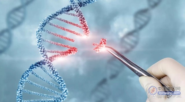 基因疗法到底是什么，基因治疗是如何工作的？