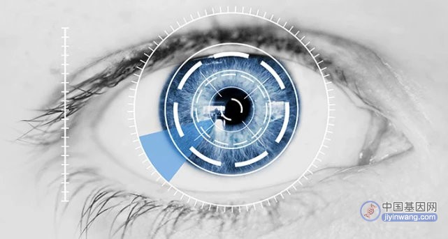 光遗传学眼科基因治疗明星初创公司宣布关停，临床前数据未达预期