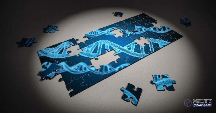 Nature子刊：优化gRNA，创造出更安全的CRISPR基因编辑技术