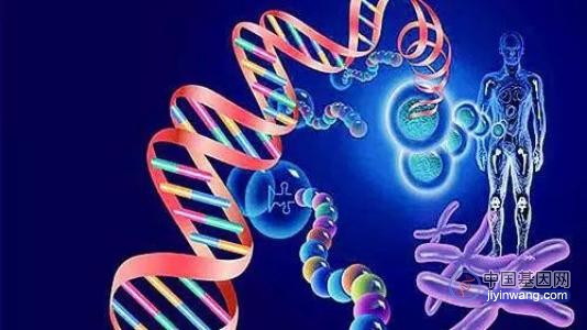 人体组织基因突变图谱绘成 有助更好诊疗相关遗传病