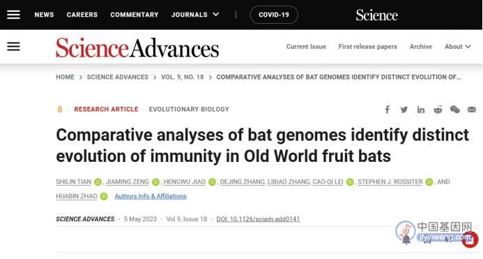 诺禾致源：组装新策略完成犬蝠基因组精细图谱并揭示食果蝙蝠免疫基因演化新机制