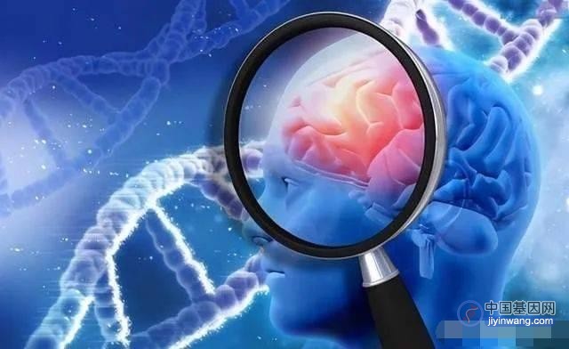 科学家确定导致痴呆症风险的大基因变化