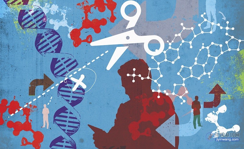 科学家们开始探索使用CRISPR“基因魔剪”治疗阿尔茨海默病
