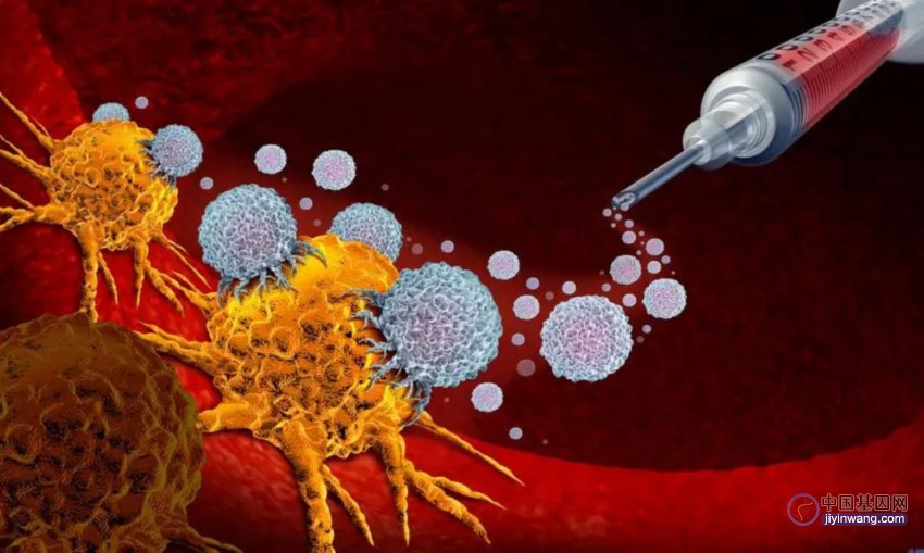 Cell：持久性细胞疗法开发平台：模块化基因敲入实现T细胞功能改造