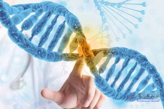 又一款全球首创基因编辑疗法在英国获批上市，国内多家企业布局
