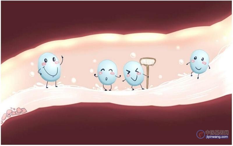 《细胞》子刊：中国科学家发现益生菌关键基因，有效帮助缓解便秘