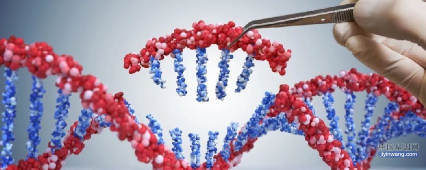 美国FDA下个月获批准！基因编辑疗法会彻底改变医药行业吗？