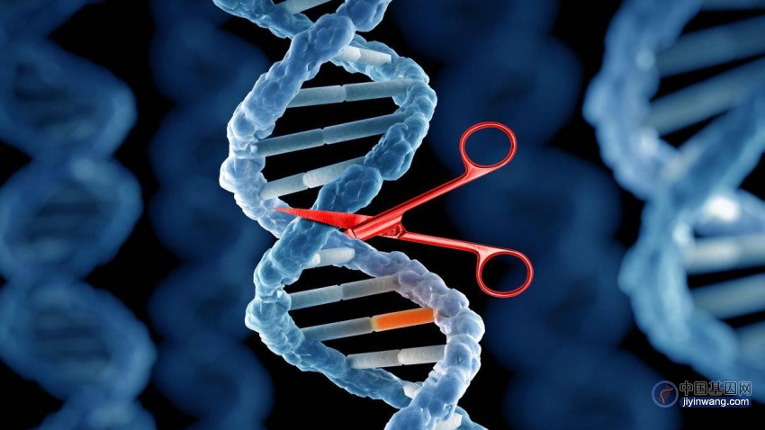 首款CRISPR基因编辑疗法获FDA批准！受益上市公司梳理