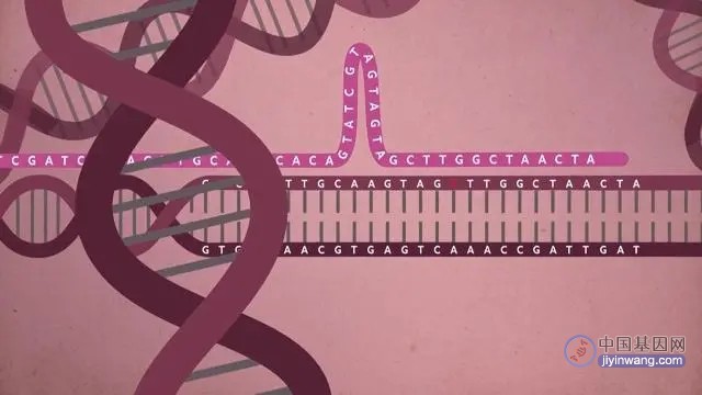 FDA批准两个基因编辑疗法，基因治疗如何点燃“未来”