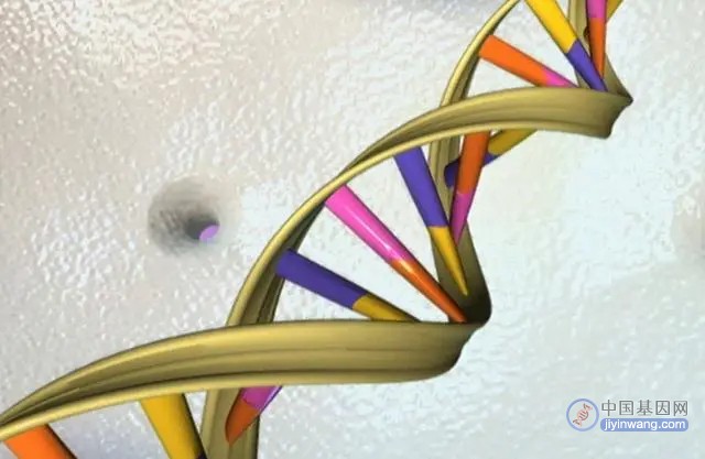 又有近3亿个基因突变被发现，精准医疗还有多远？