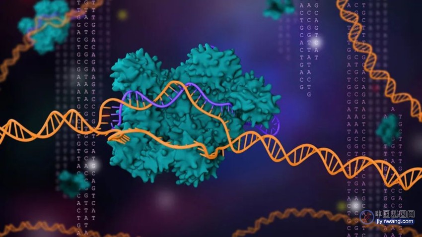 Cell综述：CRISPR基因组编辑技术的过去、现在和未来