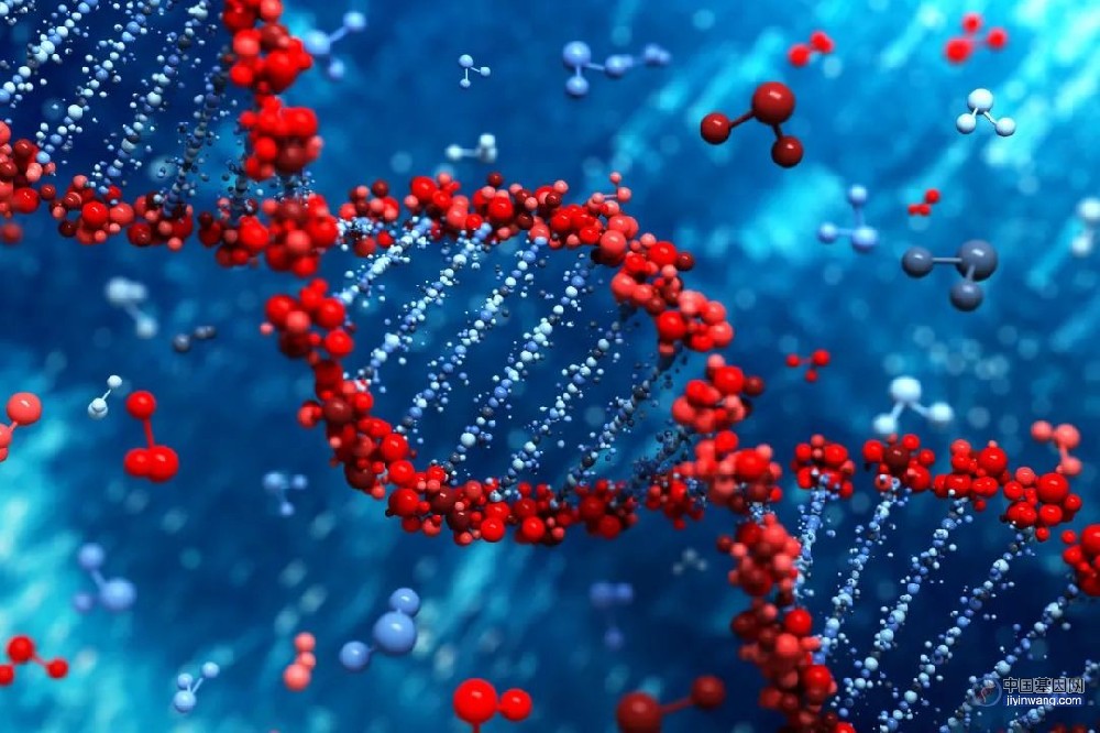 基因测序行业深度研究报告：未来大健康领域黄金赛道[共77页]